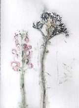 Indlæs billede til gallerivisning Foldekort med botanisk kunsttryk.