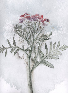 Foldekort med botanisk kunsttryk.