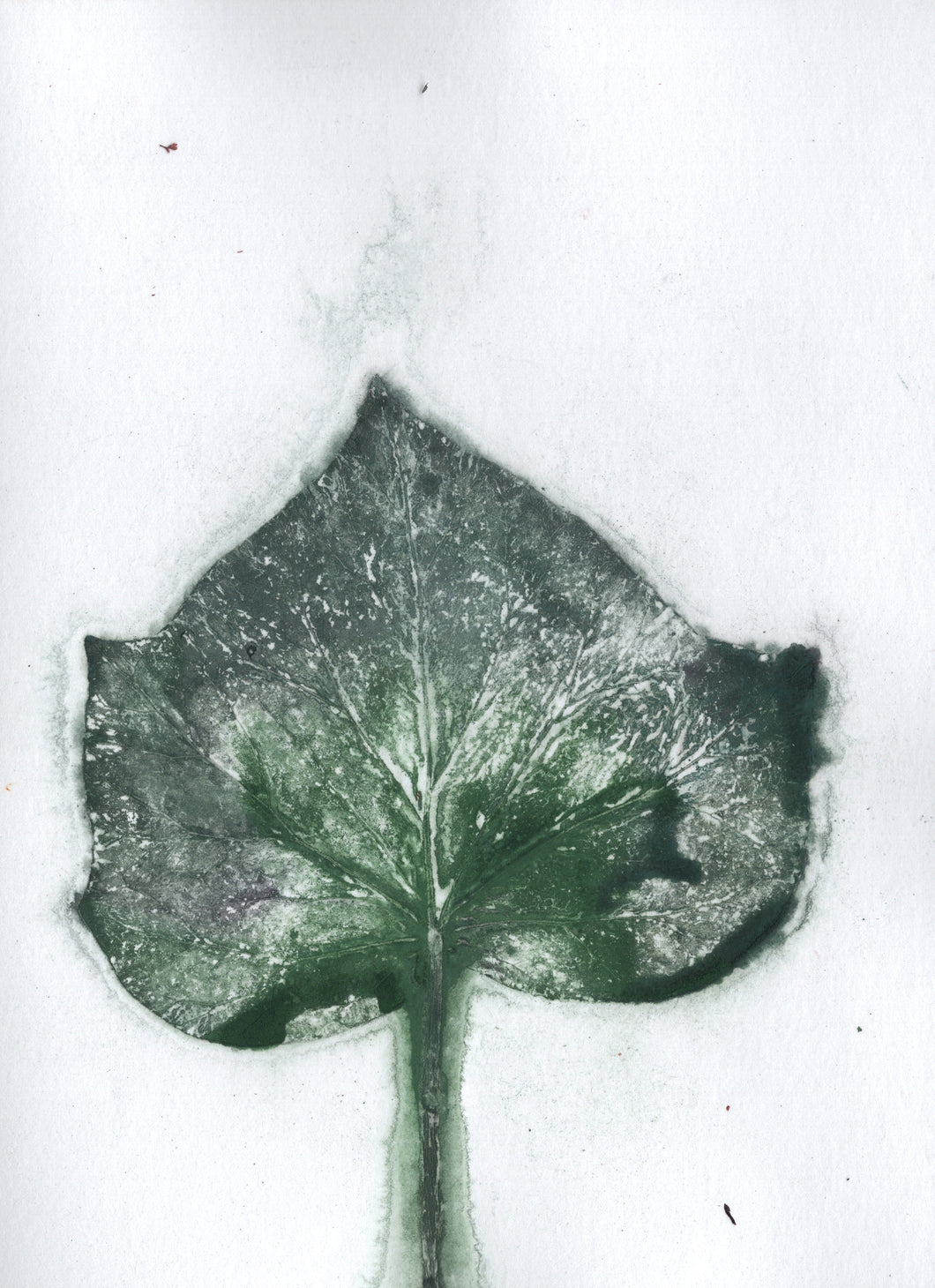 Foldekort med botanisk kunsttryk.