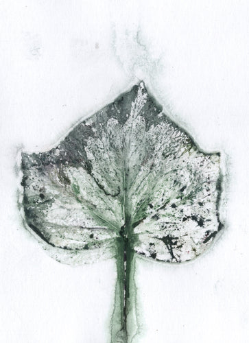 Foldekort med botanisk kunsttryk.