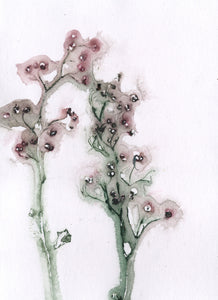 Foldekort med botanisk kunsttryk.