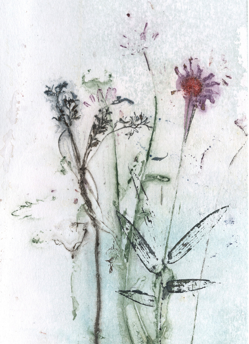 Foldekort med botanisk kunsttryk.