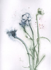 Foldekort med botanisk kunsttryk.