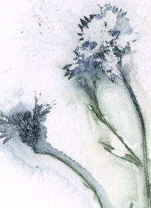 Foldekort med botanisk kunsttryk.