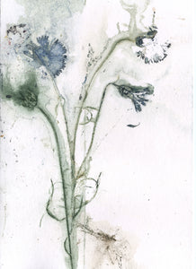 Foldekort med botanisk kunsttryk.