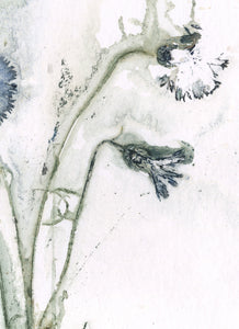 Foldekort med botanisk kunsttryk.