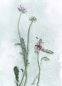 Foldekort med botanisk kunsttryk.