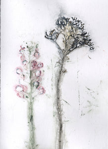 Foldekort med botanisk kunsttryk.