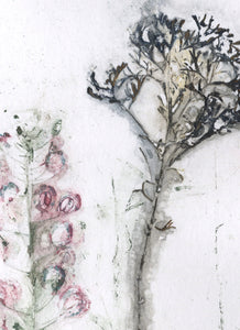 Foldekort med botanisk kunsttryk.