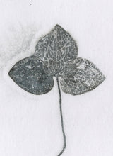 Load image into Gallery viewer, Foldekort med botanisk kunsttryk.