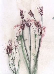 Foldekort med botanisk kunsttryk.