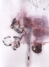 Load image into Gallery viewer, Foldekort med botanisk kunsttryk.