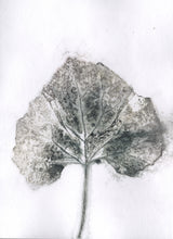 Load image into Gallery viewer, Foldekort med botanisk kunsttryk.