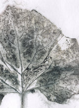 Load image into Gallery viewer, Foldekort med botanisk kunsttryk.