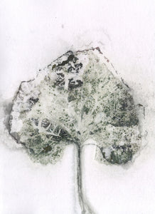 Foldekort med botanisk kunsttryk.