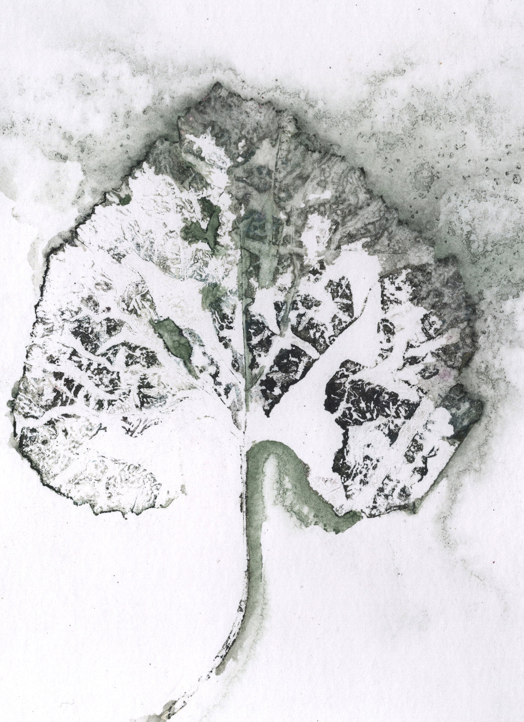 Foldekort med botanisk kunsttryk.