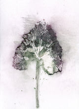 Load image into Gallery viewer, Foldekort med botanisk kunsttryk.
