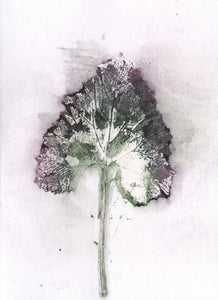 Foldekort med botanisk kunsttryk.