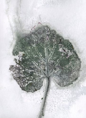 Foldekort med botanisk kunsttryk