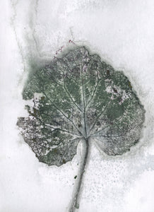 Foldekort med botanisk kunsttryk