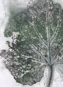 Foldekort med botanisk kunsttryk