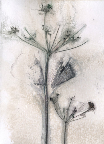 Foldekort med botanisk kunsttryk