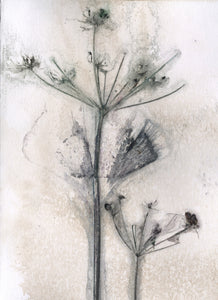 Foldekort med botanisk kunsttryk