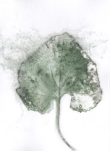 Foldekort med botanisk kunsttryk.
