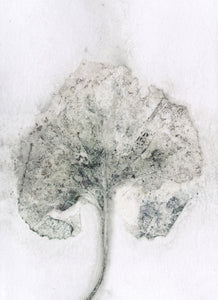 Foldekort med botanisk kunsttryk.