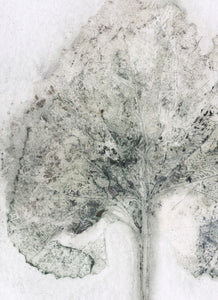 Foldekort med botanisk kunsttryk.
