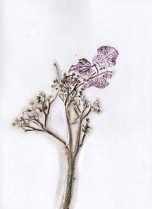 Foldekort med botanisk kunsttryk.