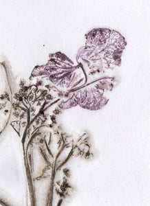 Foldekort med botanisk kunsttryk.