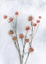 Load image into Gallery viewer, Foldekort med botanisk kunsttryk.