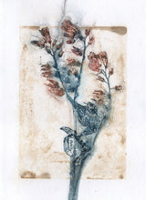 Indlæs billede til gallerivisning Foldekort med botanisk kunsttryk.
