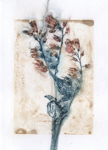 Foldekort med botanisk kunsttryk.