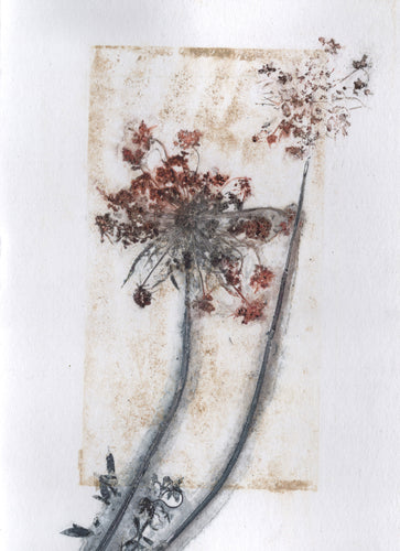 Foldekort med botanisk kunsttryk.