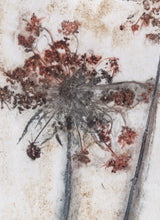 Indlæs billede til gallerivisning Foldekort med botanisk kunsttryk.