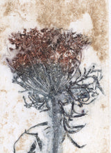 Indlæs billede til gallerivisning Foldekort med botanisk kunsttryk.