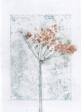 Indlæs billede til gallerivisning Foldekort med botanisk kunsttryk.