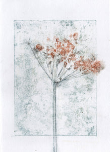Foldekort med botanisk kunsttryk.