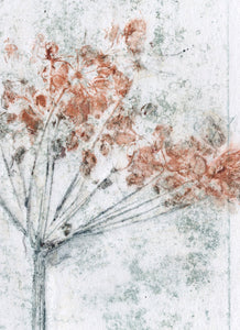 Foldekort med botanisk kunsttryk.