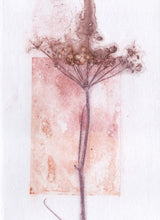 Load image into Gallery viewer, Foldekort med botanisk kunsttryk.