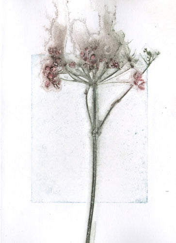Foldekort med botanisk kunsttryk.