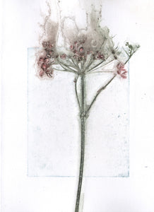 Foldekort med botanisk kunsttryk.