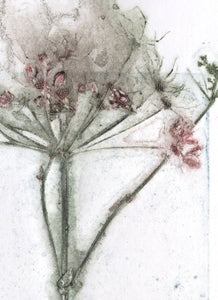 Foldekort med botanisk kunsttryk.