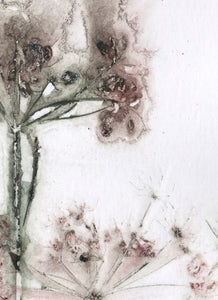 Foldekort med botanisk kunsttryk.