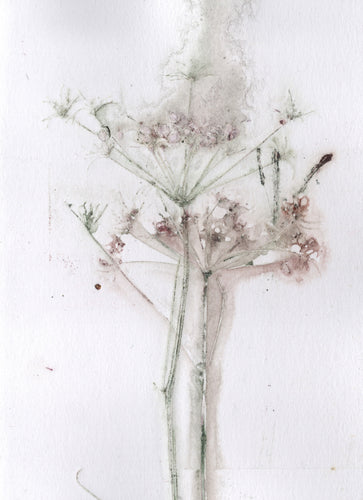 Foldekort med botanisk kunsttryk.
