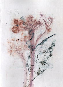 Foldekort med botanisk kunsttryk.