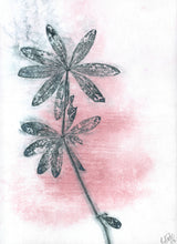 Indlæs billede til gallerivisning Foldekort med botanisk kunsttryk.