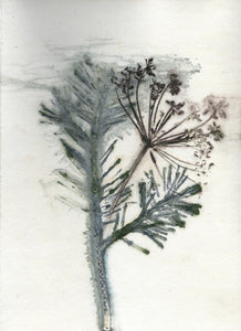 Foldekort med botanisk kunsttryk.